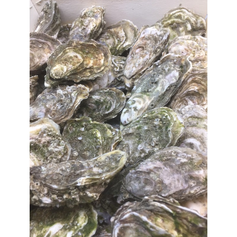 HUITRES UTAH BEACH SPECIALE N°3 NORMANDIE AU KG